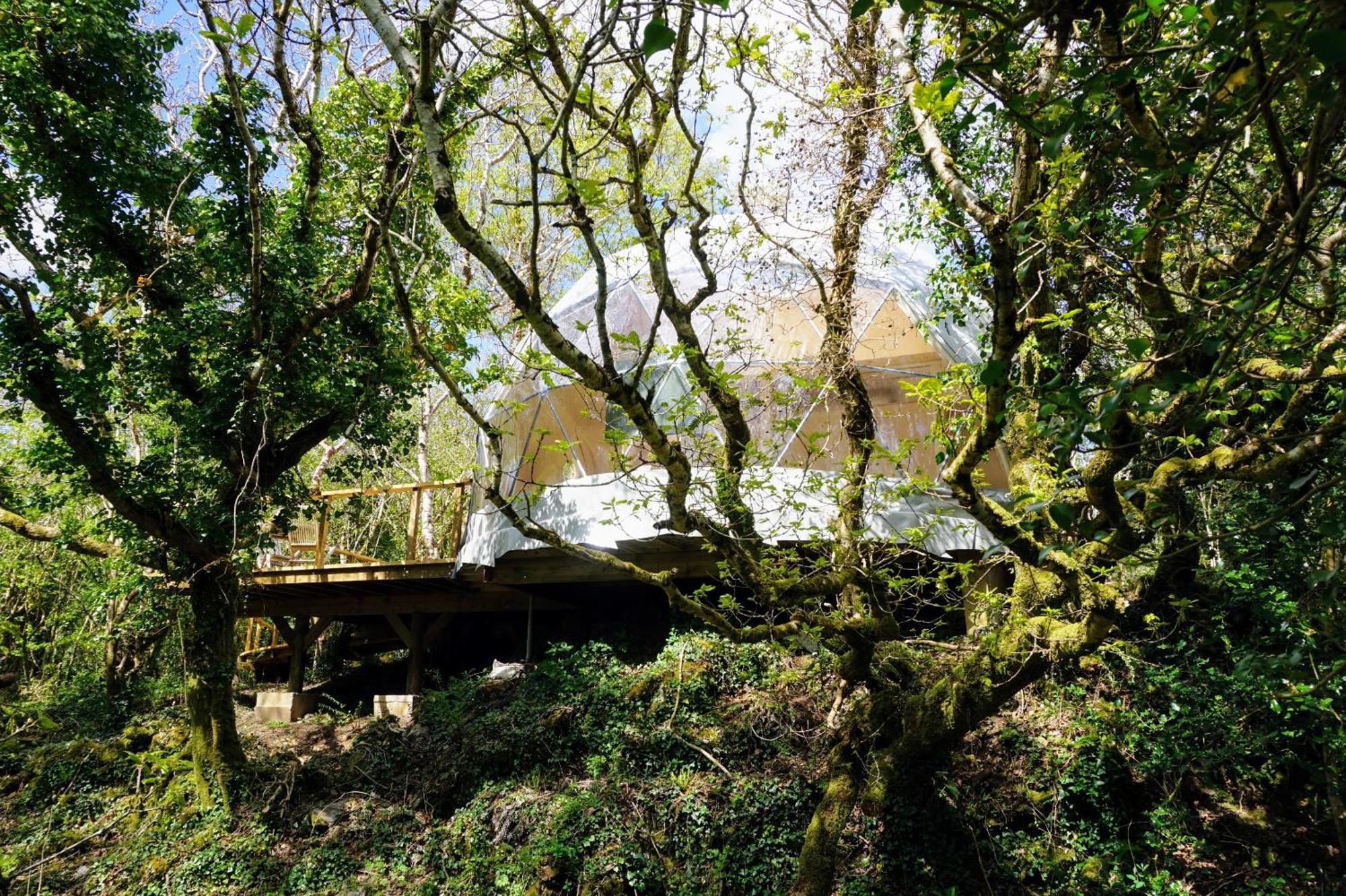Fernwood Villa Clifden Room photo